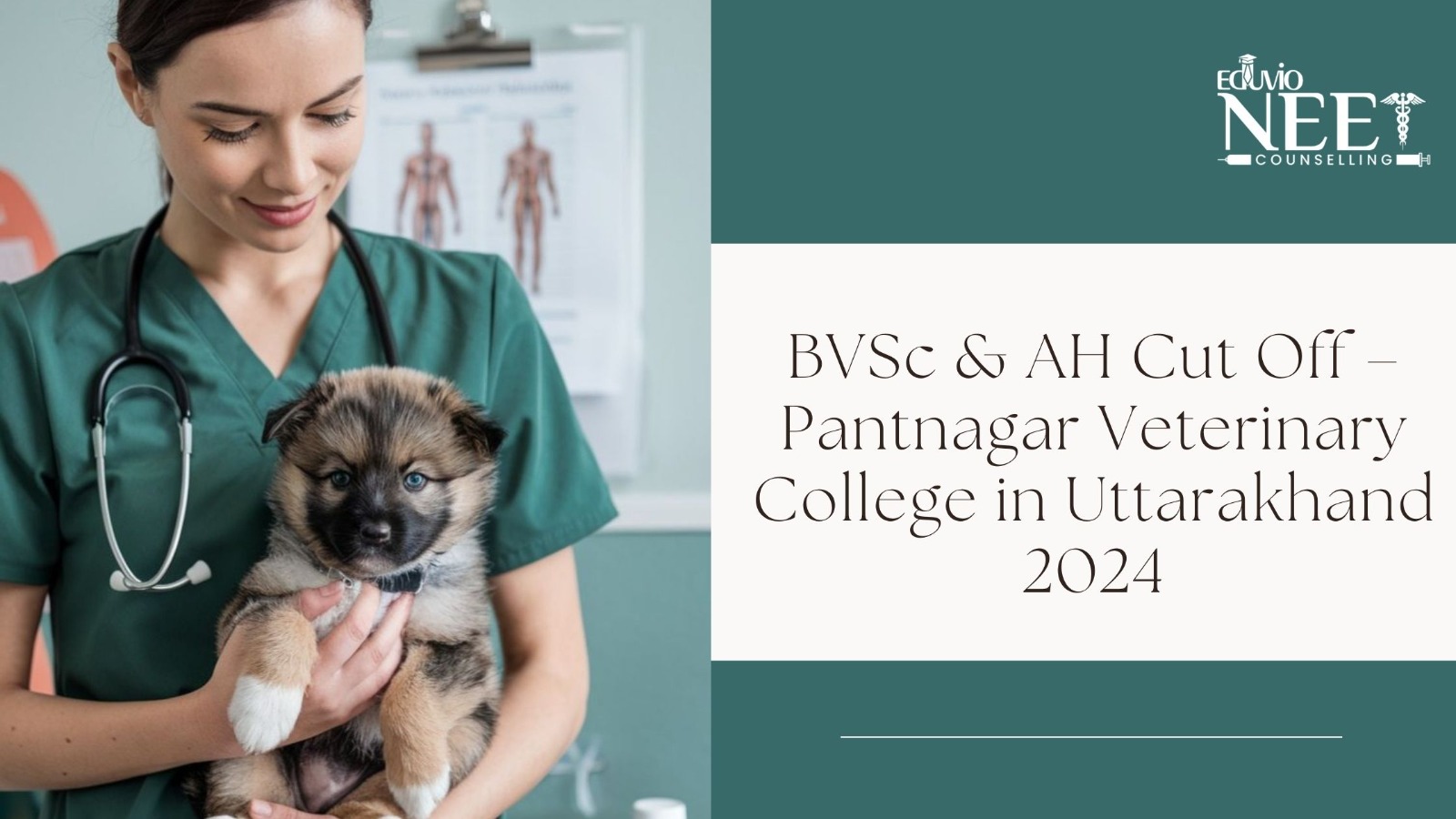 veterinary college