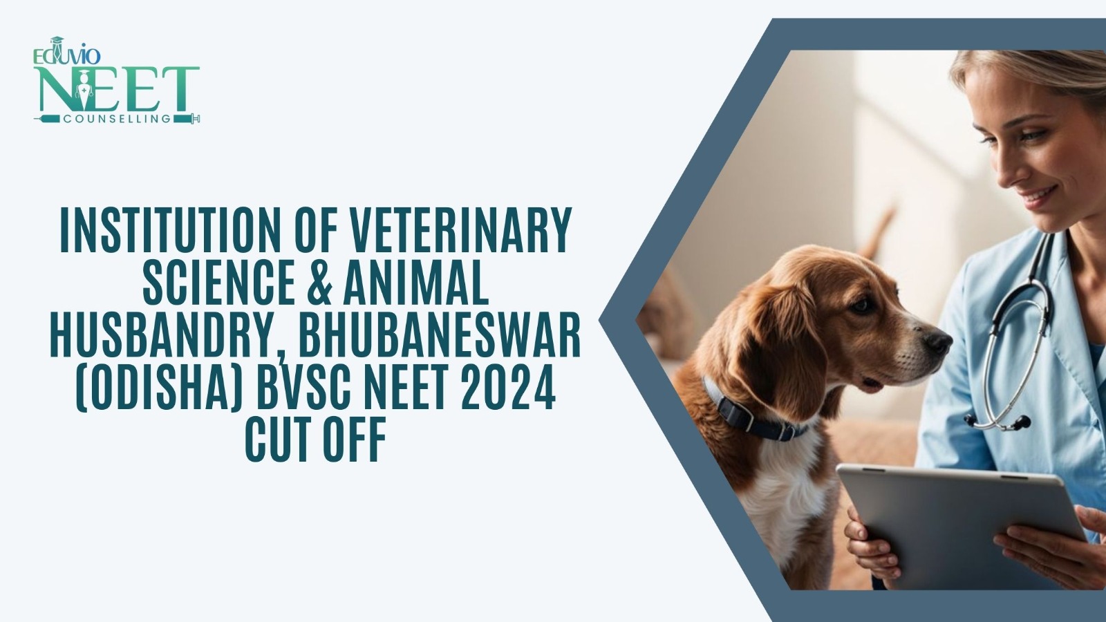 veterinary