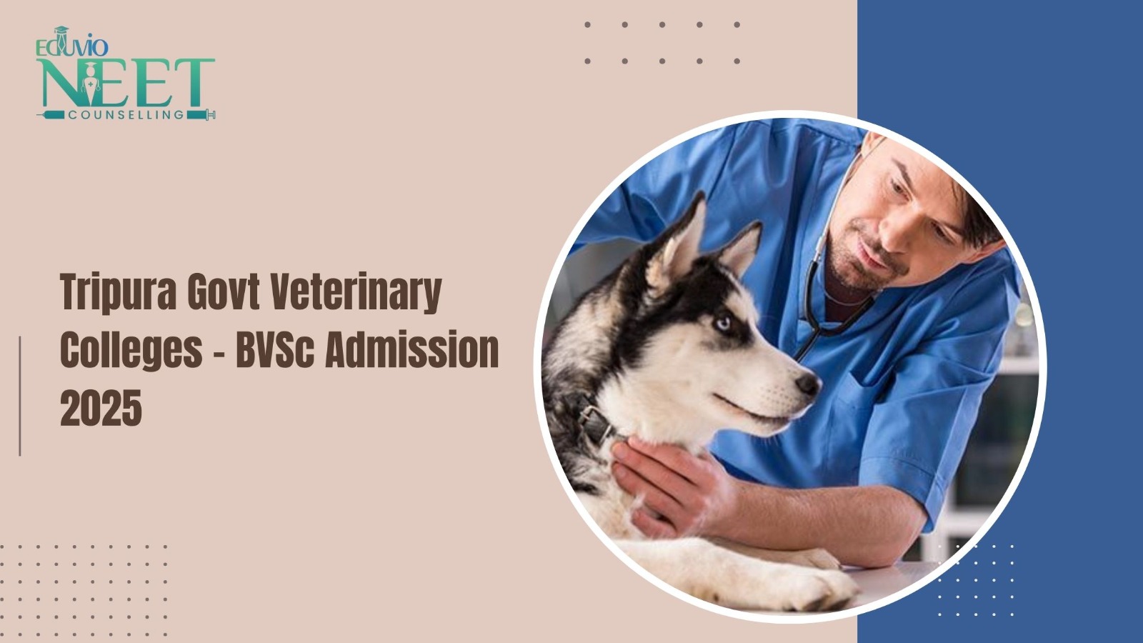 Veterinary Colleges